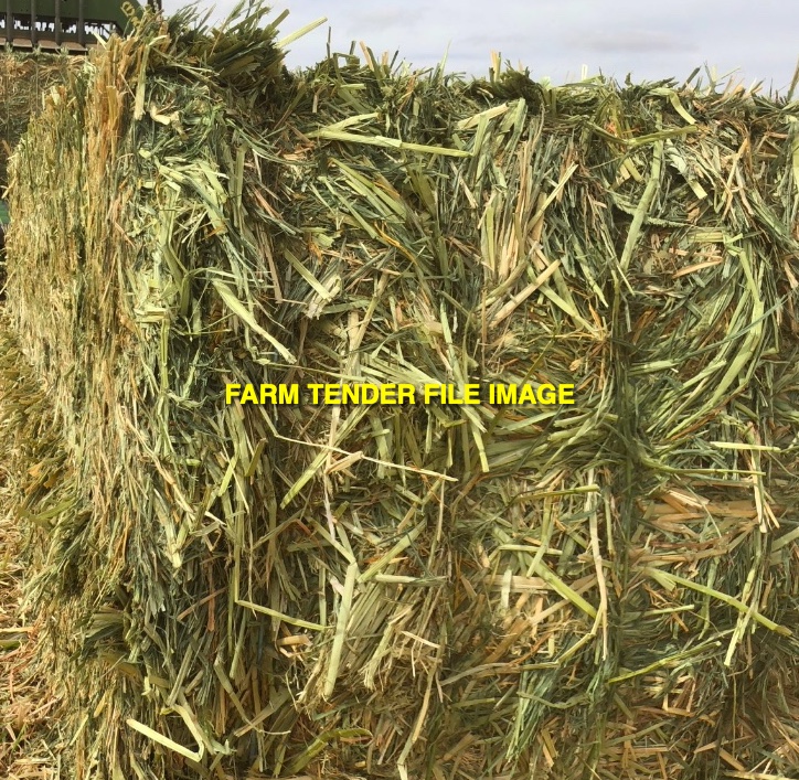 45mt Millet Hay 600kg 8x4x3 Bales Hay & Fodder Millet Hay